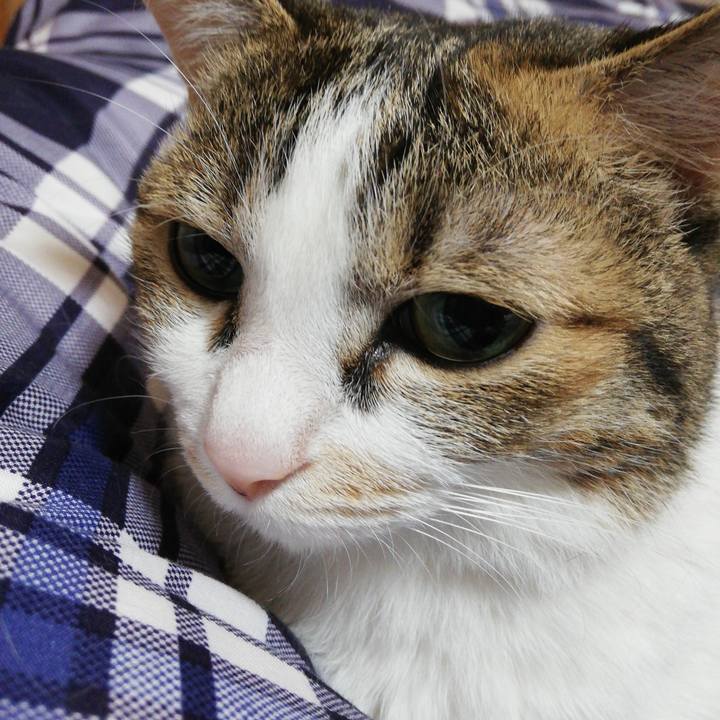 F4a8e7b7 d4e4 44b8 8713 070454836873 1619476444549