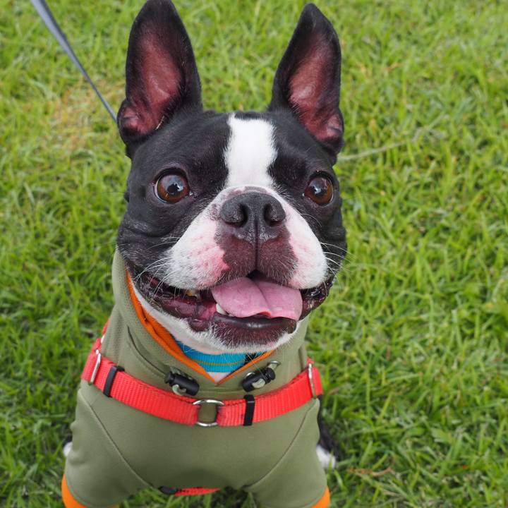 F4a93394 e194 4520 aa99 55853b61c188 1601366086160