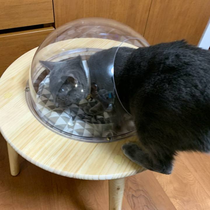 F4a97d5e 7a00 461a bd80 8816e2417787 1619675424999