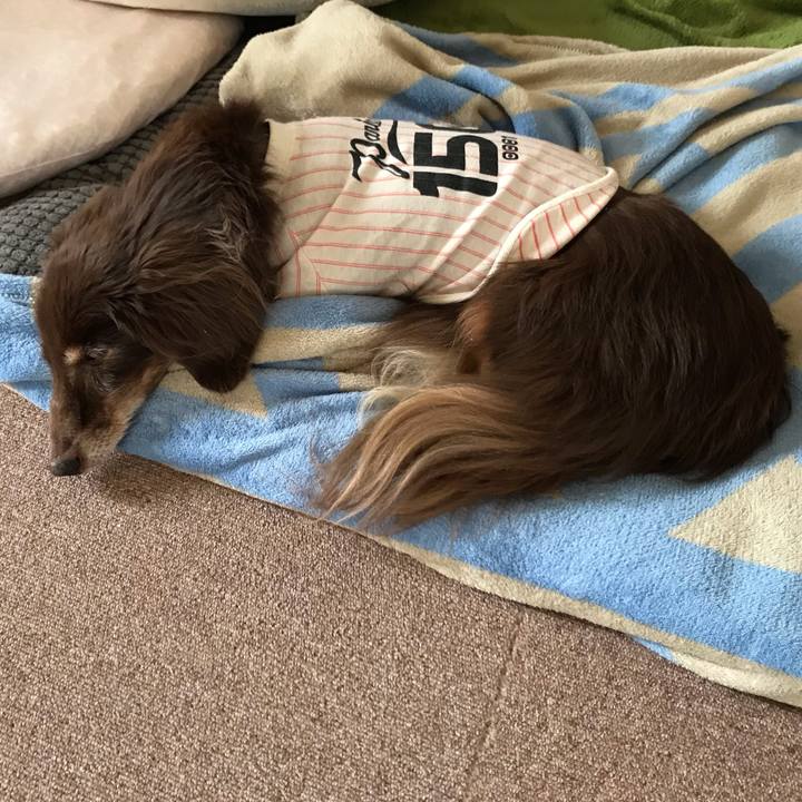 F4a981a0 8aa7 41cf b613 6eb2e15ef5da 1555888699924