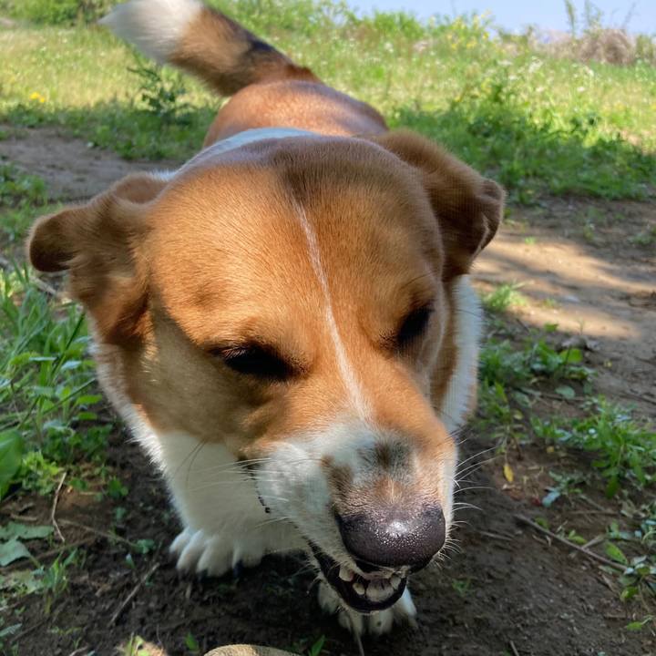 F4a9a375 d392 41f9 9c4d 679851b0c2ff 1682993270856