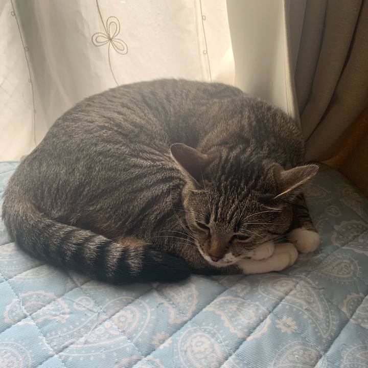 F4a9b882 11de 41a5 b6c1 94e6f4db2017 1566441046561