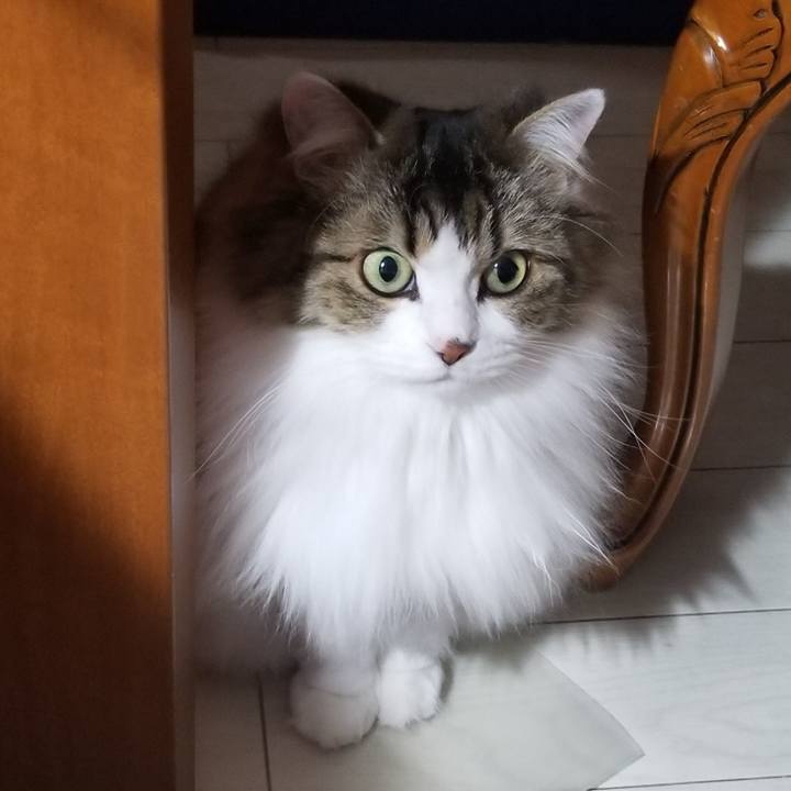 F4a9fdb0 ae3d 4713 ab49 8e92392d0bfb 1578256305510