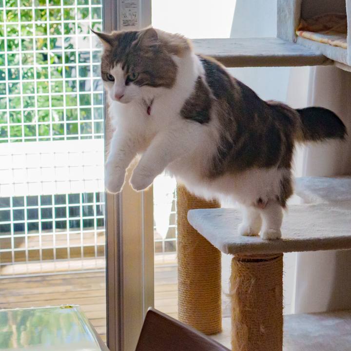 F4aa067f 5c0c 4d0f bc5e 40bd2277c886 1709007168614