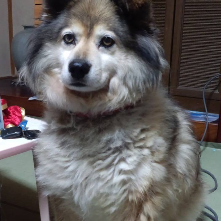 F4aa0e02 9ca0 4b52 b55b 9ea3ea7a4ec0 1657482932968