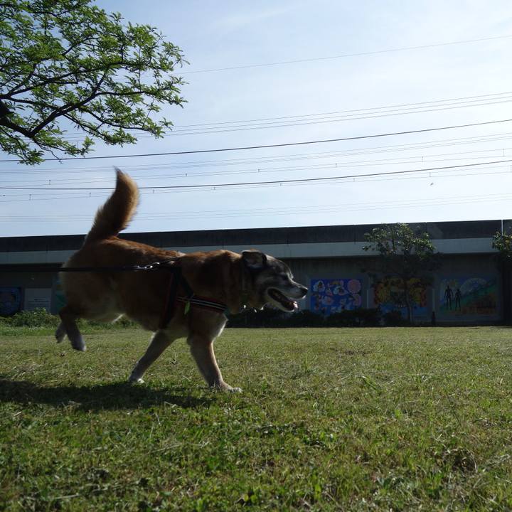 F4aa2749 85ca 4cc7 bf1c 37b116631c80 1526086254296