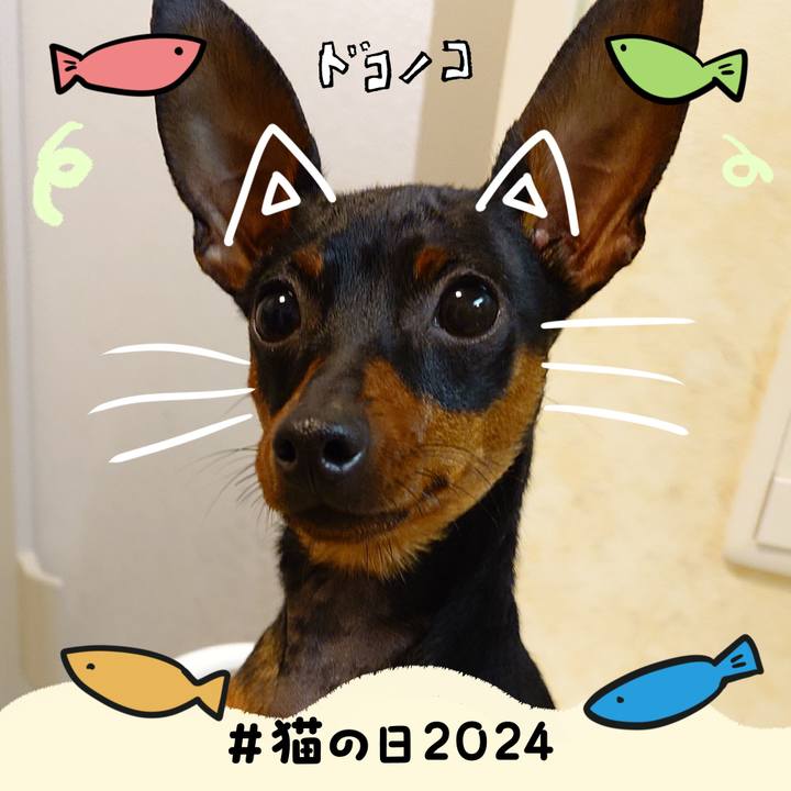 F4aa2a7e e7b7 44f6 9580 967fe6b0e8f5 1708588078277