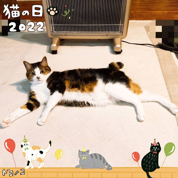 F4aa6082 18c8 44f5 9b6a 28dcaee35930 1645490268950