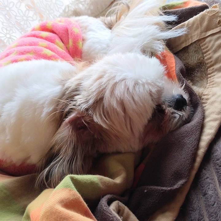 F4aa6ada d6e1 4bc5 9d06 d0785e2101db 1576112011873