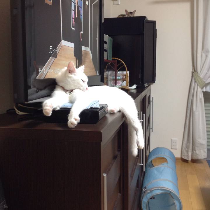 F4aa8dc7 f4e6 4698 bf41 cf27e8fdc6e0 1630224091632