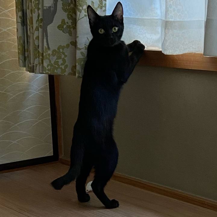 F4aaaefd 91f8 4ed3 a237 4b48f9e507e9 1615991310322