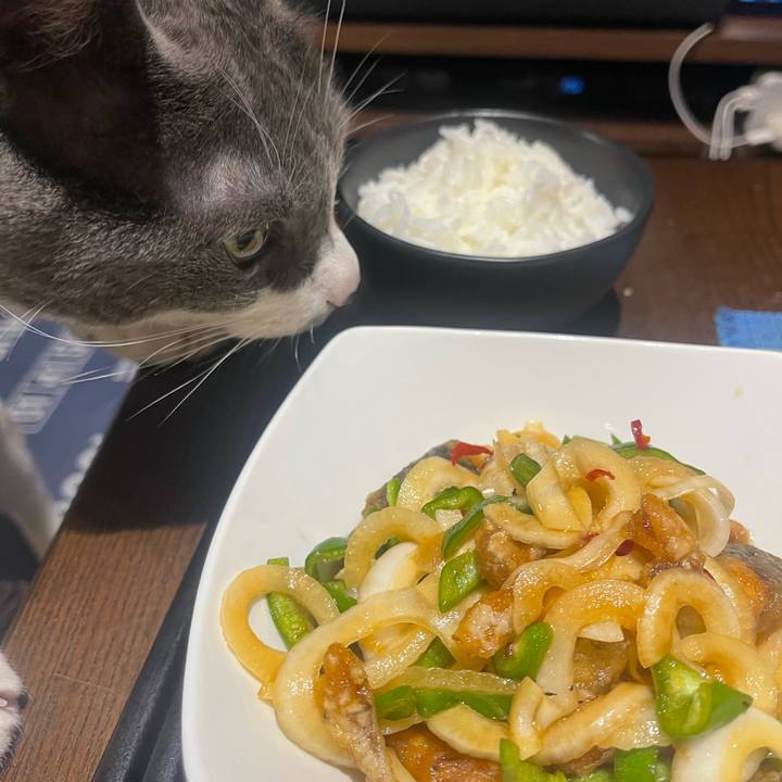 F4aab457 b2d6 4103 a9fe eb4775cda081 1712314754685