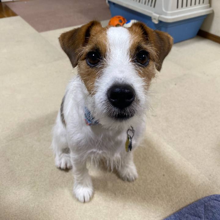 F4aab66b dc01 40f3 86b2 055f623a31ca 1755819021682