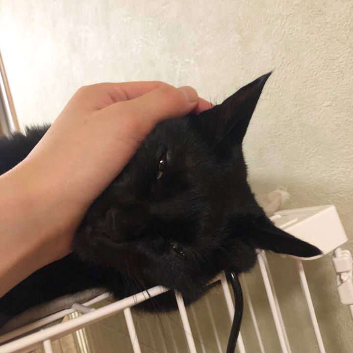 F4aaf2a7 634b 4d70 9bc1 7498e4ff48f4 1561125769654