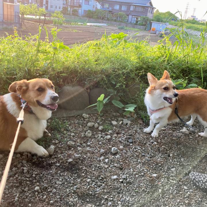 F4ab12d7 71ab 4d79 92a6 ec869beec86a 1651186672750