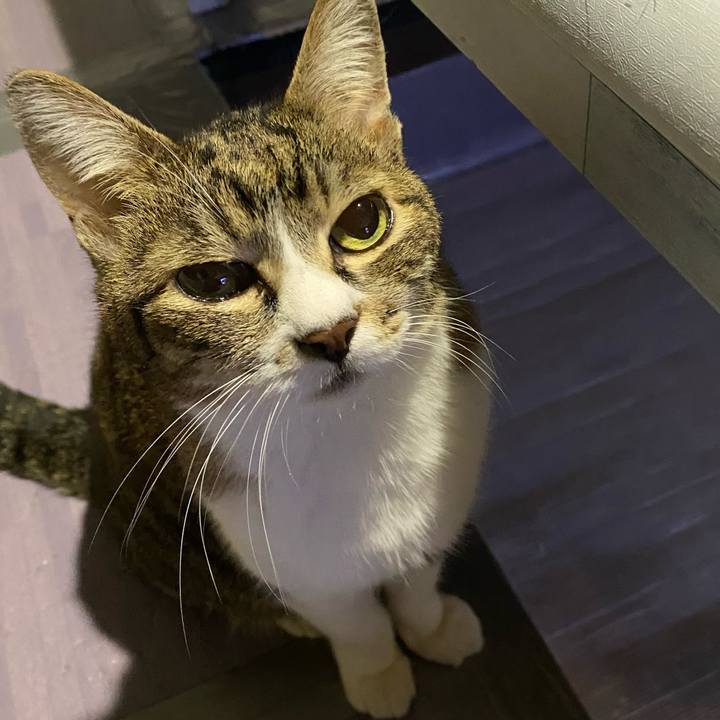 F4ab136d 9692 4466 a9ad 822c05a6e846 1685834859354