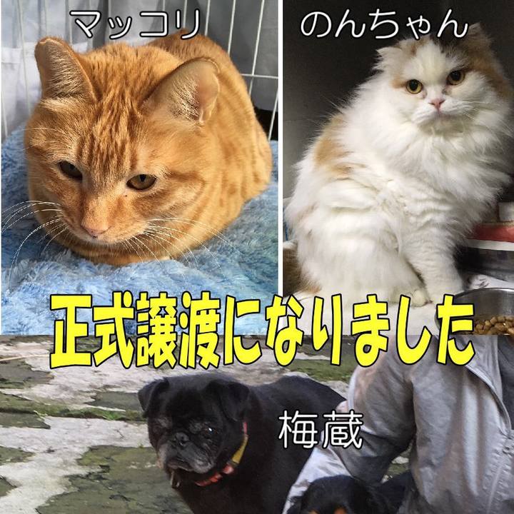 F4ab3847 b192 4d57 ad57 b3cc6eb90992 1551004315929