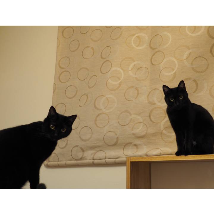 F4ab59f6 472f 41fc 83d0 a83223c75fa7 1542844543746