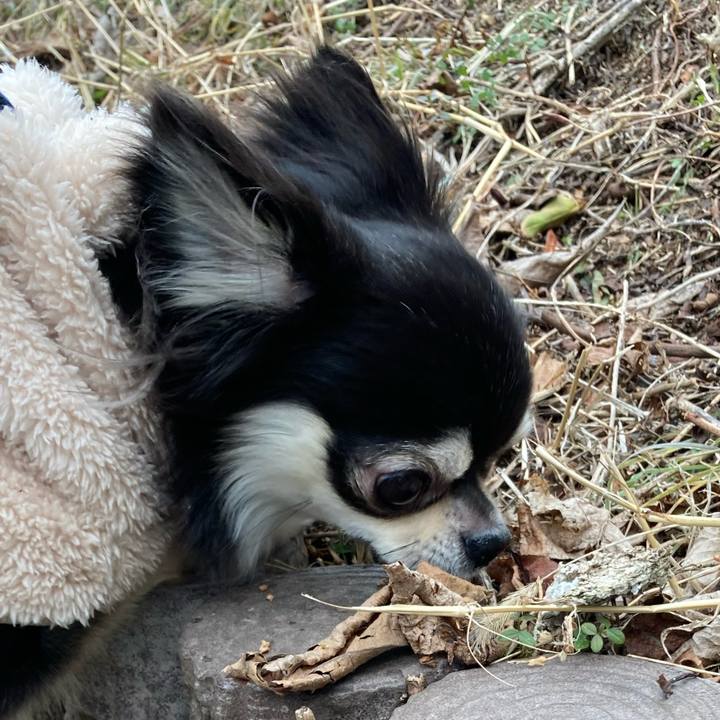 F4ab6eec bd49 46e0 bb8c 606ce8839002 1642914132889