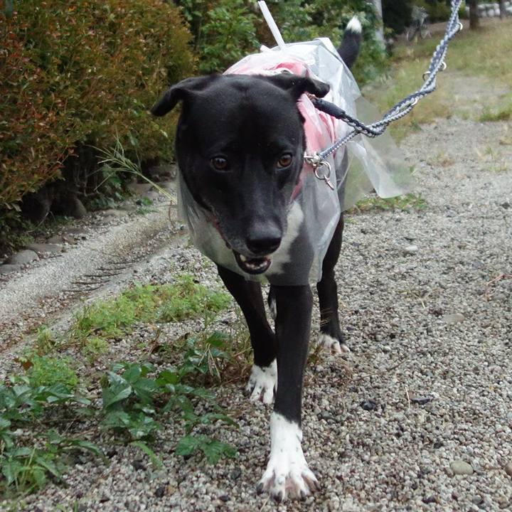 F4ab6fff 68f6 4db6 84f9 6a7a31e4daa7 1634430770500