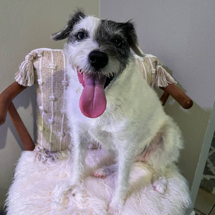 F4ab74f7 cb1c 468d 8750 f6a7ffb6b76f 1661898628132