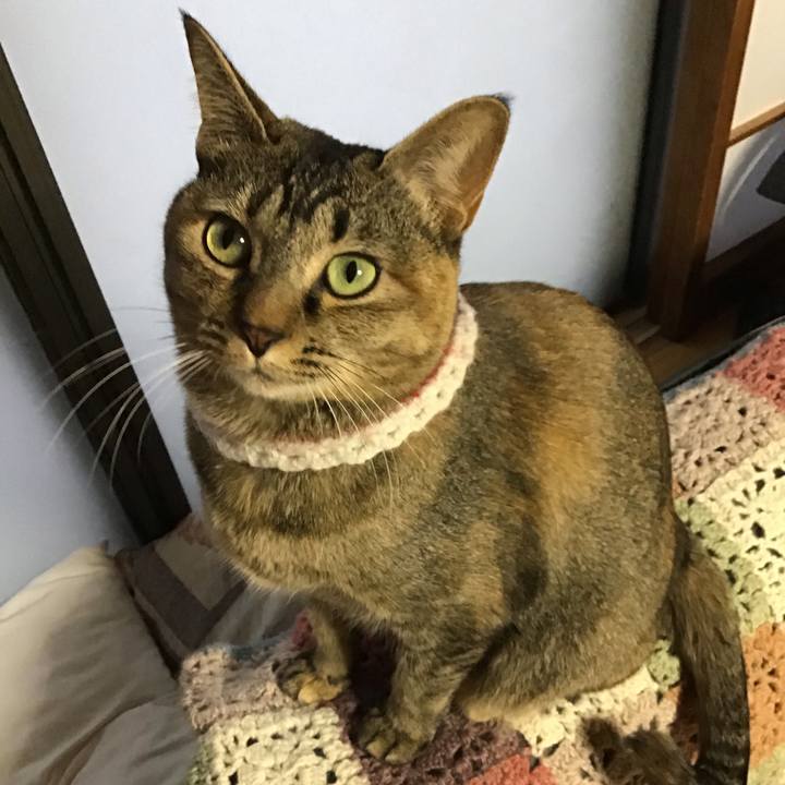 F4ab88b4 b6f1 4f4e a4d7 a455a0d50331 1610442252598