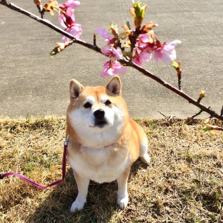 F4ab9a0c 5b51 4dac a646 9d9542cc9674 1616017034921