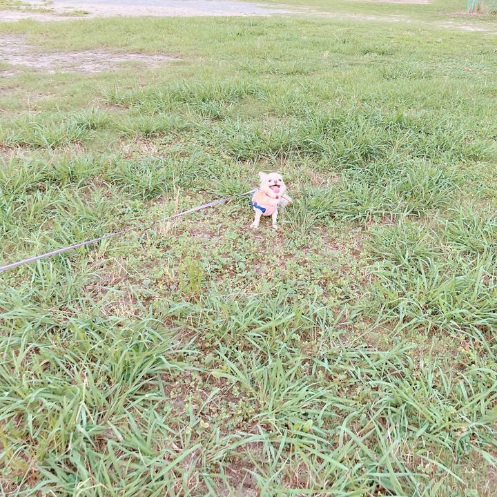 F4ab9a6c 60f5 4baa ae04 91c433975d53 1658572986333