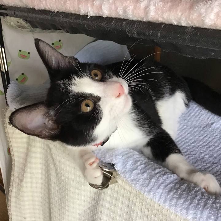 F4abb3ad 6312 4bb5 84bf 0282b707a8b4 1628310856428