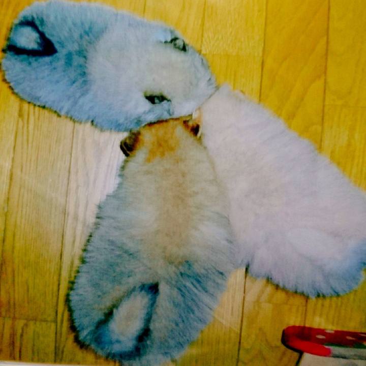 F4abcbfd ab3b 4388 a766 a1f54be78b52 1548032227832