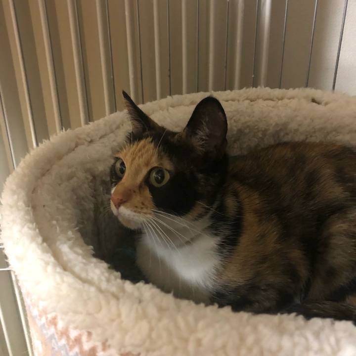 F4abe39c 89c4 42a5 88fa 390a377b1042 1557410410478