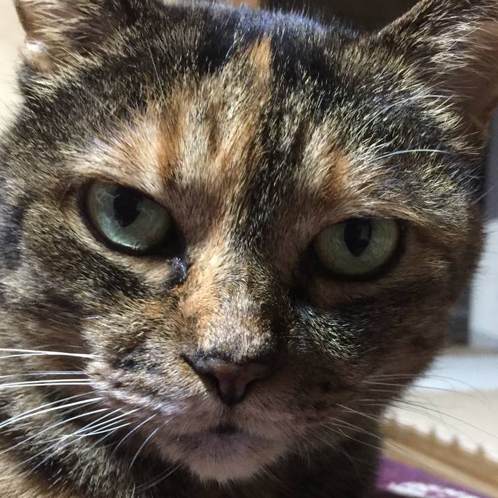 F4ac5f38 207a 4f7c 907b e7022a514381 1524375798622