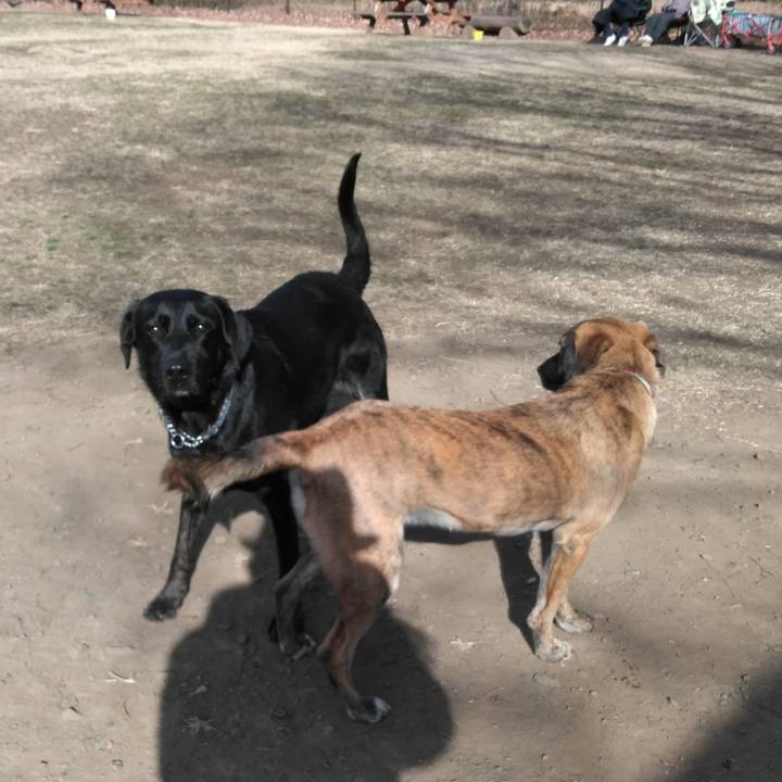 F4ac7c8b 96cd 4aed bd4a 0d222dea0bc0 1546750946939