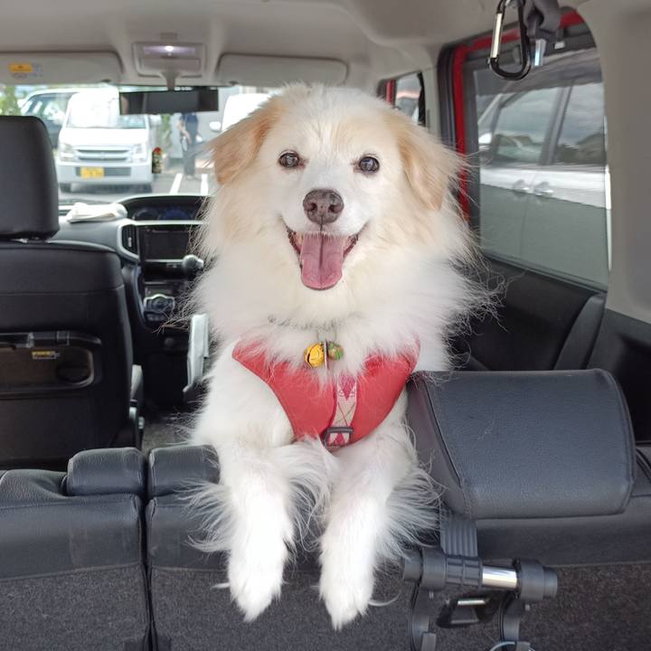 F4ac7ea6 1c5f 471e 9aed 77577698d4e8 1692148939806