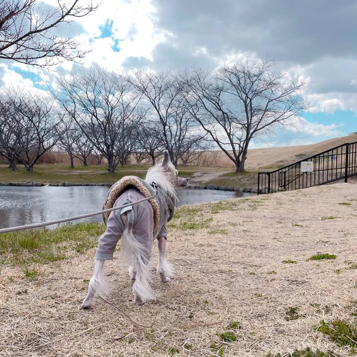 F4ac8ac8 cd1b 407b b241 422ebc34c88a 1773385249704