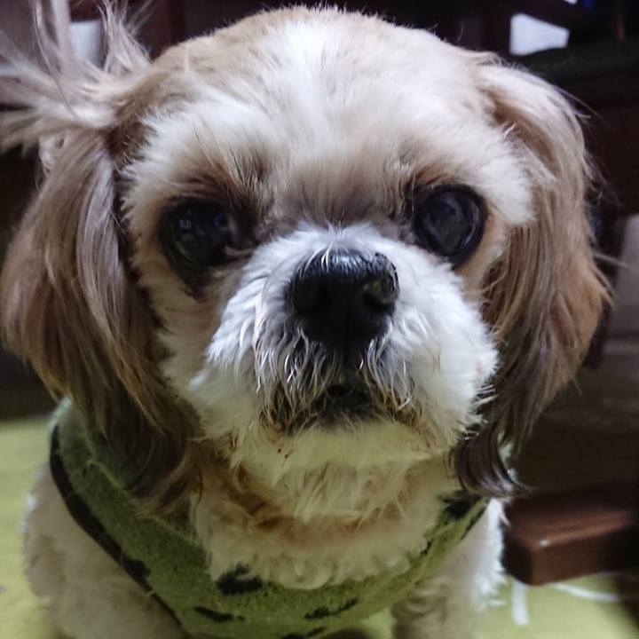 F4acbd1b 4552 4ddd 9553 b0f12c941627 1645273940622