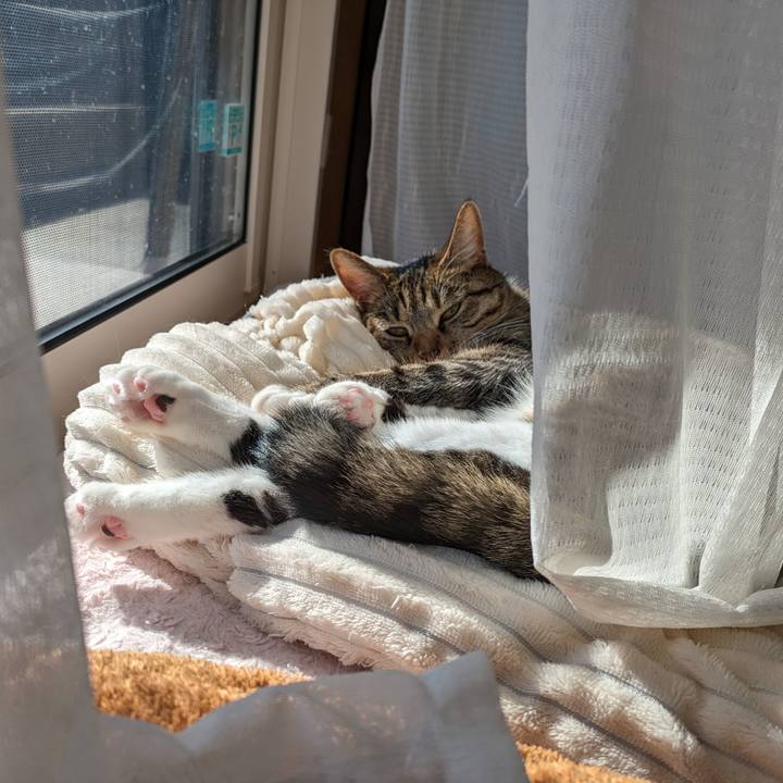 F4aceb07 ae3b 4be6 8140 6ca46ba08116 1703930357458