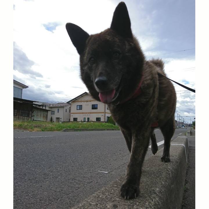 F4acec39 359f 4ed6 9496 f9f1db82c355 1530741224471