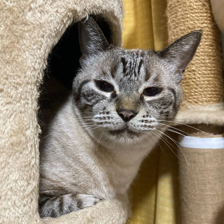 F4ad2e6c b523 4cb0 9f97 51bf65df6e38 1760799590373