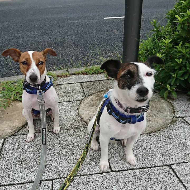 F4ad57e2 dd8b 4d55 bc47 709ee1bd8b85 1533764924742