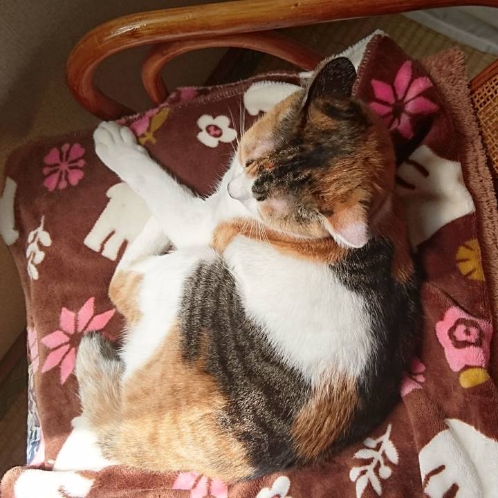 F4add4f1 9101 412b a476 e879c5d5a5c8 1556418337218