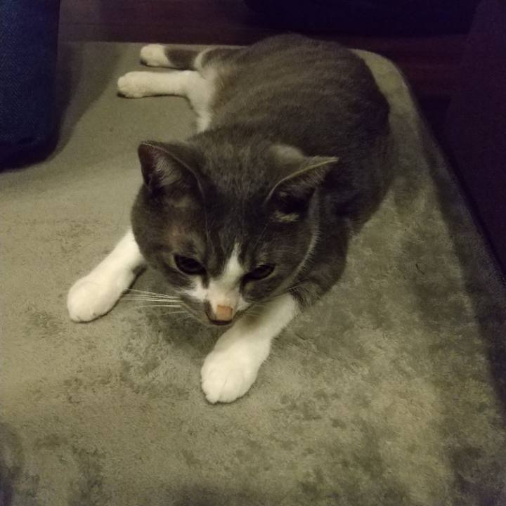 F4adec98 2534 4c09 823b 34dd08107a81 1628077170370