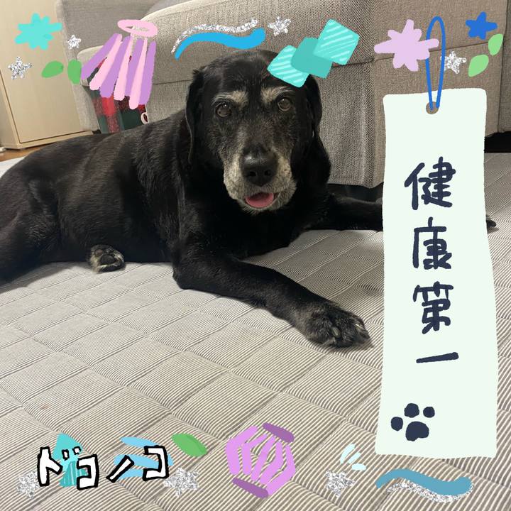 F4adfaae 8f11 42da 8950 d72a35a84f17 1720928493510