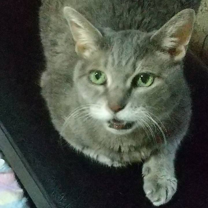 F4ae322d ac61 4184 804b 02b1b5d774a3 1694002868980