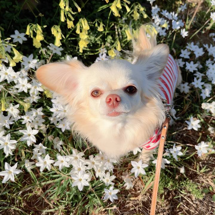 F4ae58b9 b8dd 4209 a467 d3c52bffc3e3 1711098928729