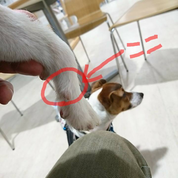 F4aea852 79bb 4c45 97ae 5a518be6e56c 1545201780505