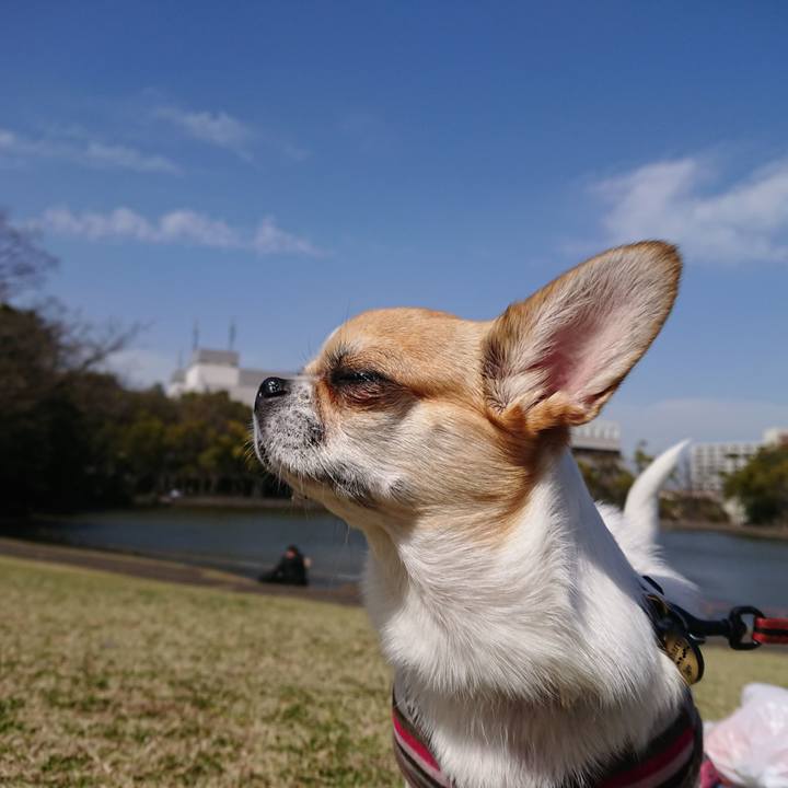 F4aee2ff ed87 4cb3 ba38 e0cff87f6117 1585183461314