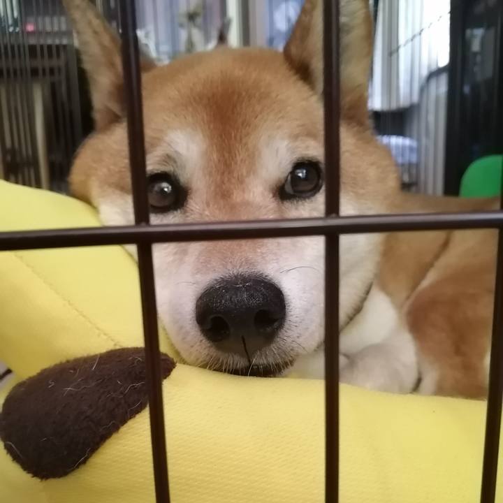 F4aeef08 f74e 438c a5a2 b54ca2378511 1687071215734