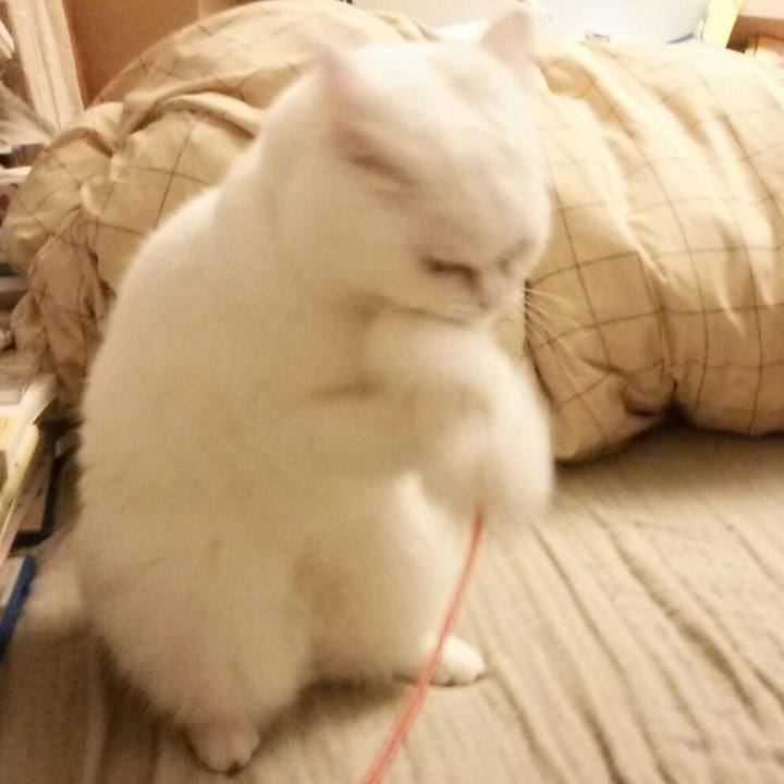 F4af26a1 30cb 441a 80f2 2b77e4259c59 1510786439542