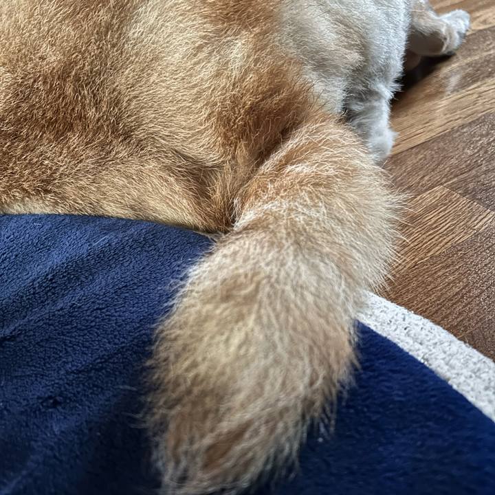 F4af329b 423d 403d 9000 17fd83834f77 1754119323266